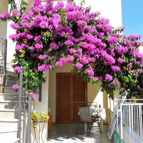 Apartmanok A Tenger Mellett Zadar - Diklo, Zadar - 5767 Zadar - Diklo