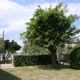 Apartmanok A Tenger Mellett Pag - 6413