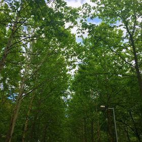 Szeri Kemping Faház Ópusztaszer