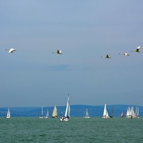 Gréta Medencés Apartman Siófok