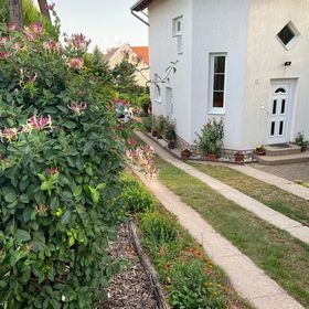 Eszter Apartman Paloznak