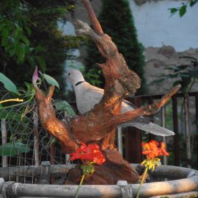 Árnyas Apartman Hajdúszoboszló