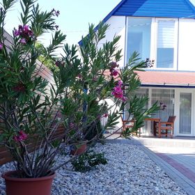 Boróka Lak Vendégház Tiszakécske