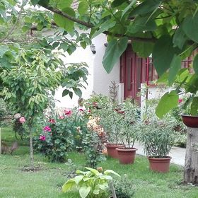 Császárfa Vendégház Abádszalók