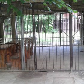 Anna Nyaraló Faház Gergelyiugornya