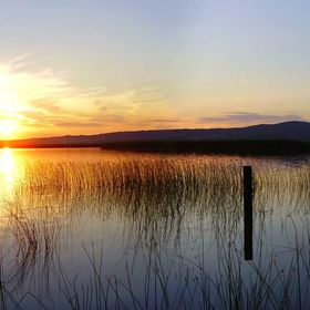 Green Residence Apartman Velence