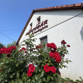 Napsugár Vendégház Abaújkér