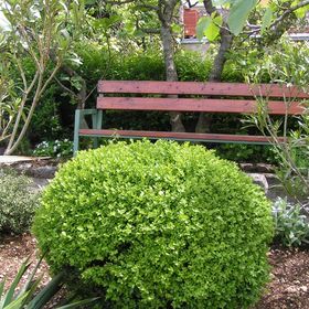 Apartmanok Parkolóhellyel Jadranovo, Crikvenica - 13417 Jadranovo