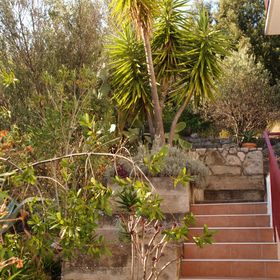 Apartmanok A Tenger Mellett Brna - Vinacac, Korcula - 13344 Brna - Vinačac