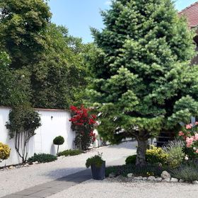 Art Galéria Apartman Gyenesdiás