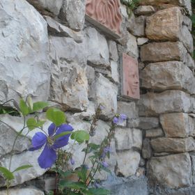 Tik Hegyi Ház Monoszló