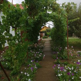 Julika Üdülőház Cserkeszőlő