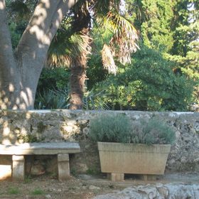 Apartman Grdjan Porat