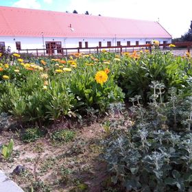 Zarándokszállás Csurgó