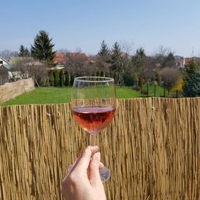 Kókusz Apartmanok Eger