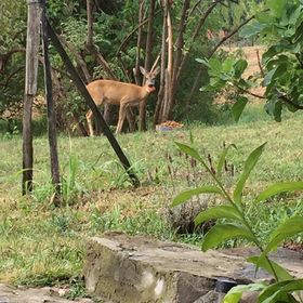 Eszter Ház Kisapáti