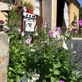 Ablak a Hegyre Vendégház Mindszentkálla