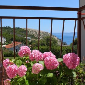 Apartmanok Parkolóhellyel Krvavica, Makarska - 6749 Krvavica