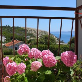 Apartmanok Parkolóhellyel Krvavica, Makarska - 6749 Krvavica