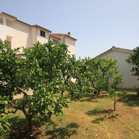 Apartmanok A Tenger Mellett Nevidane, Pasman - 8273 Neviđane