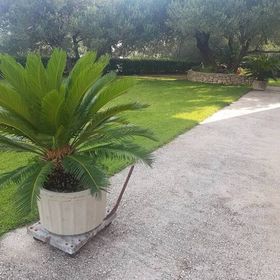 Apartmanok Parkolóhellyel Makarska - 6768