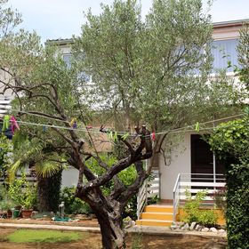 Családi Apartmanok A Tenger Mellett Vodice - 928