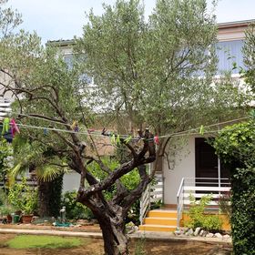 Családi Apartmanok A Tenger Mellett Vodice - 928