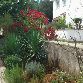 Apartmanok Parkolóhellyel Cizici, Krk - 5469 Čižići