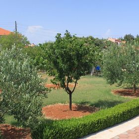 Apartmanok és Szobák Parkolóhellyel Susica, Ugljan - 8265 Sušica