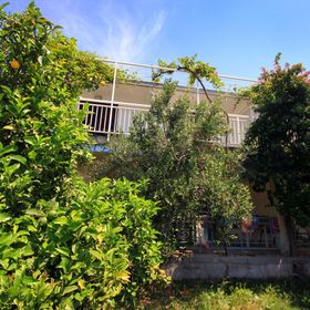 Apartmanok A Tenger Mellett Medencével Viganj, Peljesac - 260 Viganj