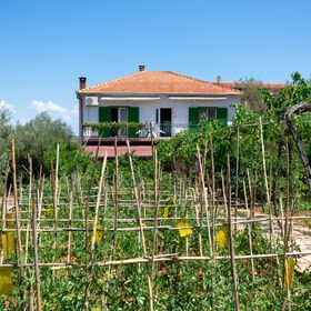 Apartmanok Parkolóhellyel Kraj, Pasman - 8457 Kraj