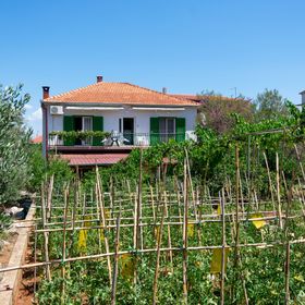 Apartmanok Parkolóhellyel Kraj, Pasman - 8457 Kraj