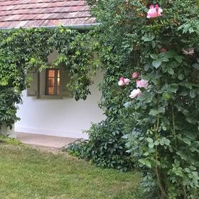 Maison Cirmi Üdülőház Szabadhidvég