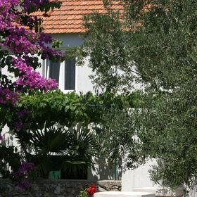 Apartmanok Parkolóhellyel Vodice - 4192