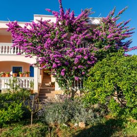 Apartmanok Parkolóhellyel Pasman - 8214 Pašman