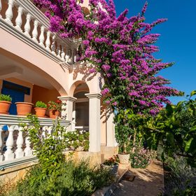 Apartmanok Parkolóhellyel Pasman - 8214 Pašman