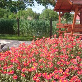 Levendula Apartmanház Gyomaendrőd