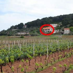 Apartmanok Parkolóhellyel Lumbarda, Korcula - 4352 Lumbarda