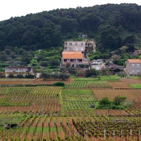 Apartmanok Parkolóhellyel Lumbarda, Korcula - 4352 Lumbarda