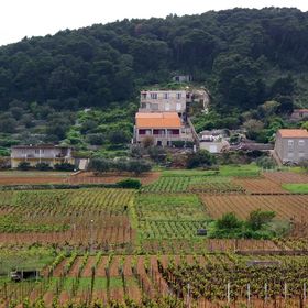 Apartmanok Parkolóhellyel Lumbarda, Korcula - 4352 Lumbarda