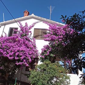 Apartmanok A Tenger Mellett Basina, Hvar - 4620 Basina