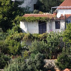 Apartmanok Parkolóhellyel Maslinica, Solta - 5176 Maslinica