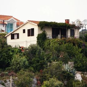 Apartmanok Parkolóhellyel Maslinica, Solta - 5176 Maslinica