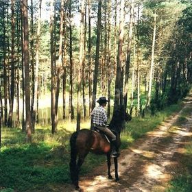 Agroturystyka Starka Klonowo