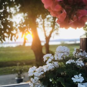 Sirály Köz Nyaraló Balatonvilágos