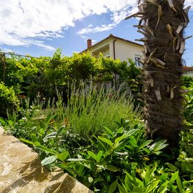 Apartments Vinko Trogir