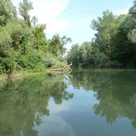 Vészi-kert Vendégházak Tiszavalk