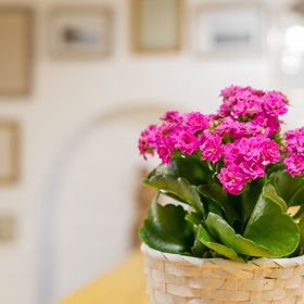 Ádám Apartman Balatonföldvár