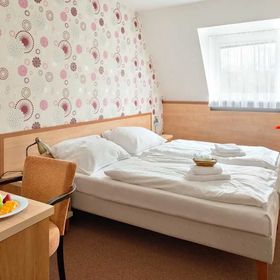 Wellness Hotel Diana Velké Losiny