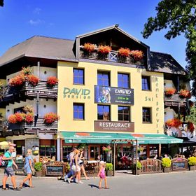 David wellness hotel Harrachov